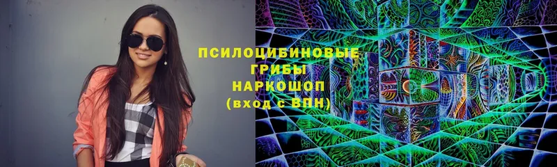 Галлюциногенные грибы Psilocybine cubensis  Липки 